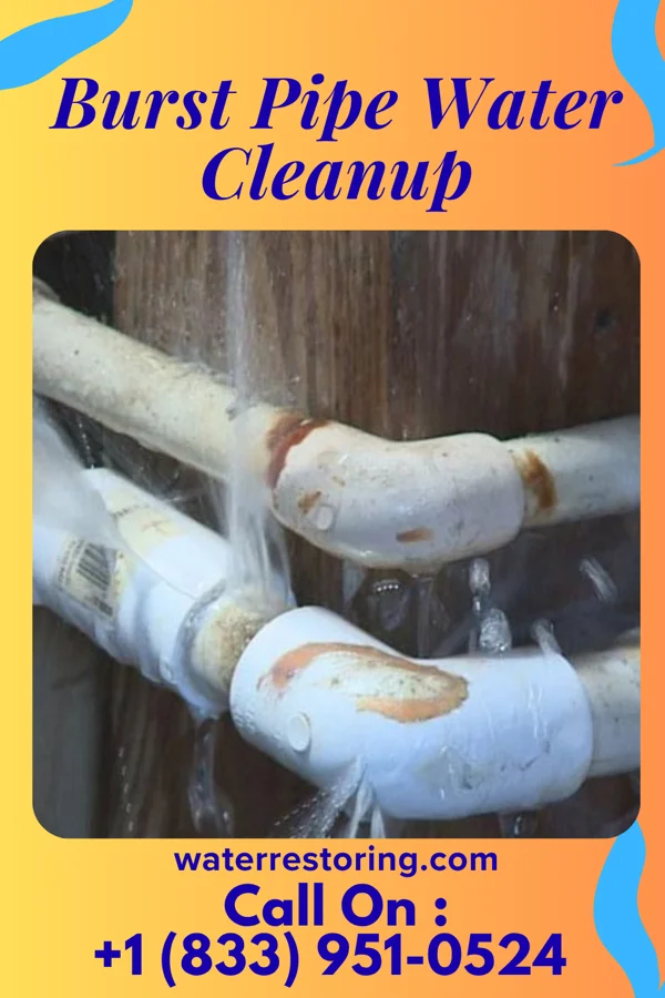 Burst Pipe Water Cleanup in Lake Linden, MI