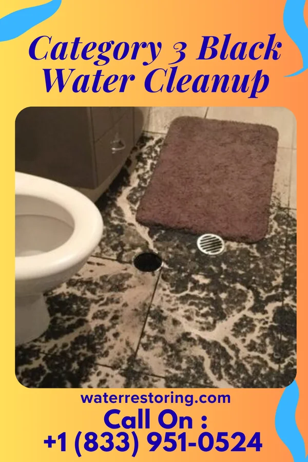 Category 3 Black Water Cleanup in Lake Linden, MI