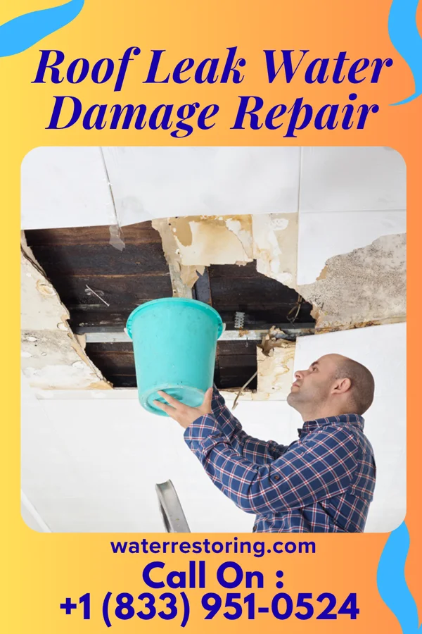 Roof Leak Water Damage Repair in Lake Linden, MI