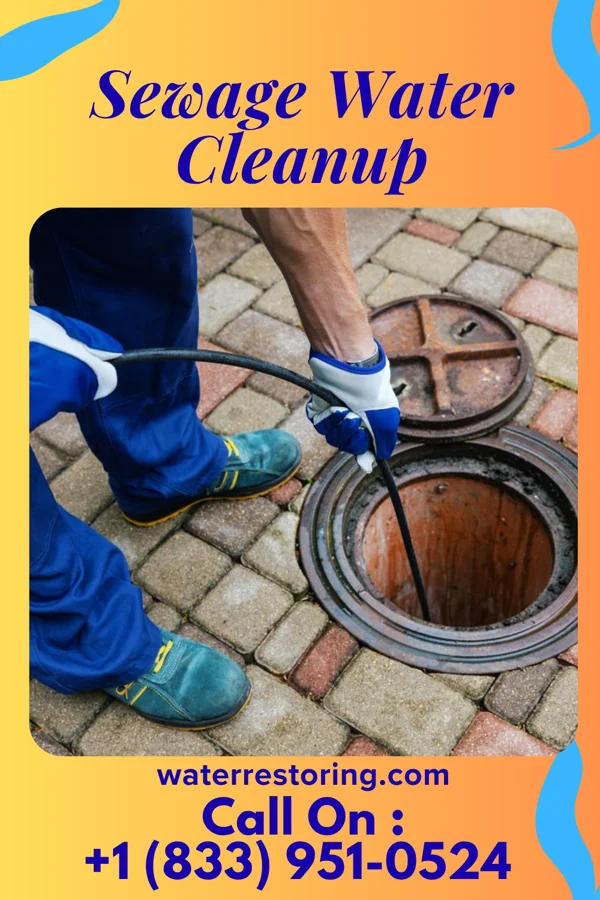 Sewage Water Cleanup in Lake Linden, MI