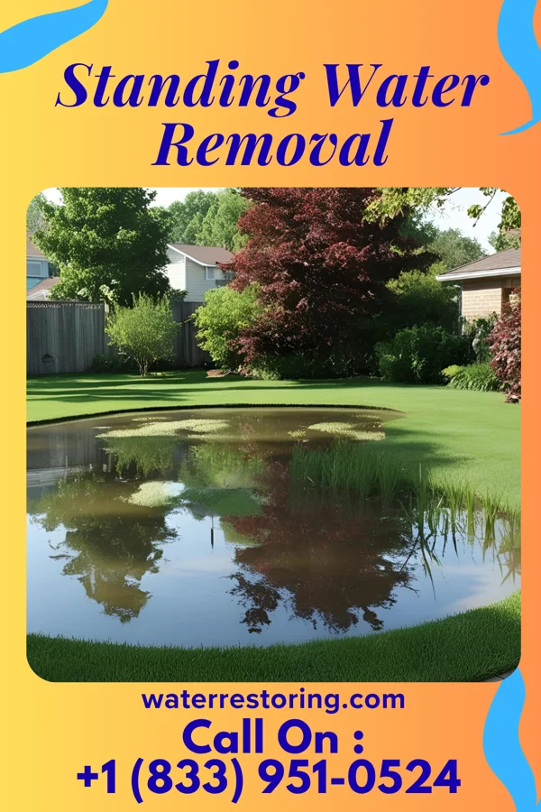 Standing Water Removal in Lake Linden, MI